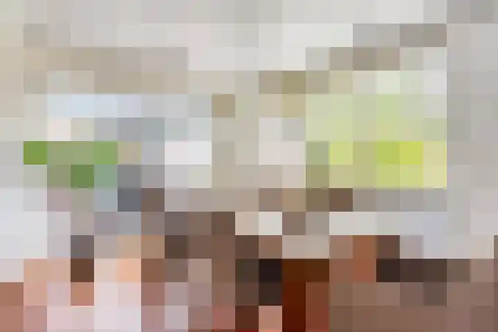 Klompenmaker 32 Oost West en Middelbeers thumbnail 17