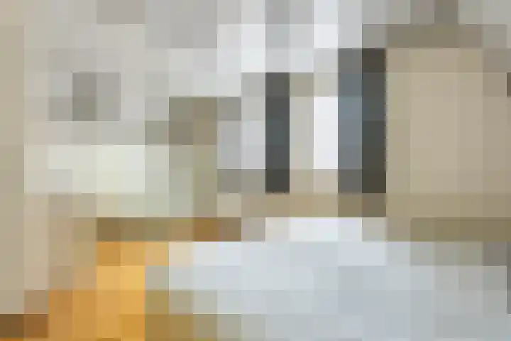 Klompenmaker 32 Oost West en Middelbeers thumbnail 27
