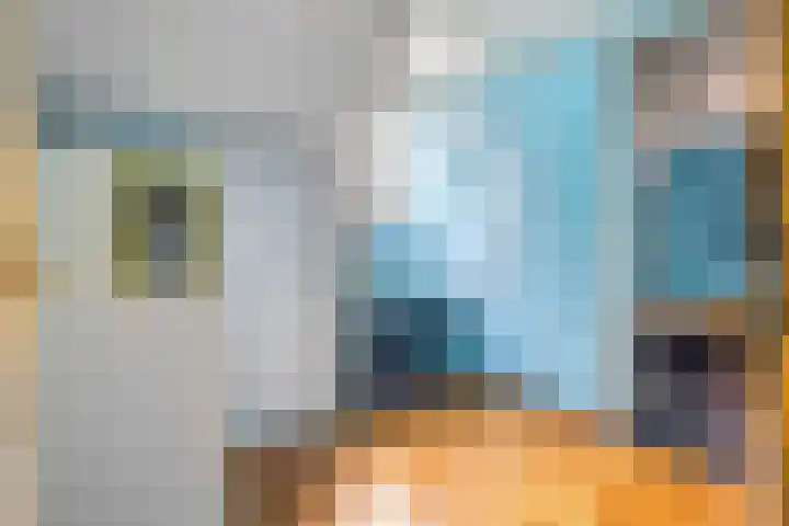 Klompenmaker 32 Oost West en Middelbeers thumbnail 37