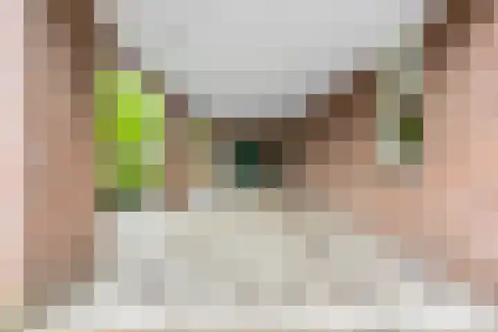 Klompenmaker 32 Oost West en Middelbeers thumbnail 41