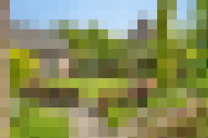 Klompenmaker 32 Oost West en Middelbeers thumbnail 45