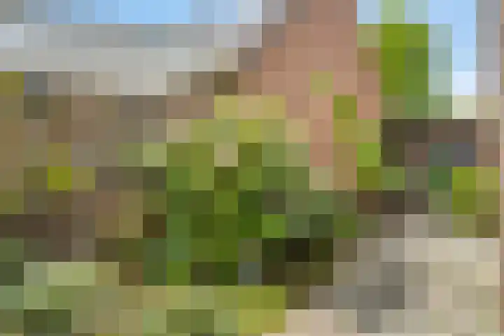 Klompenmaker 32 Oost West en Middelbeers thumbnail 46