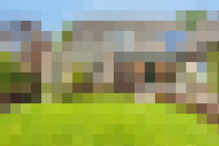 Klompenmaker 32 Oost West en Middelbeers thumbnail 47