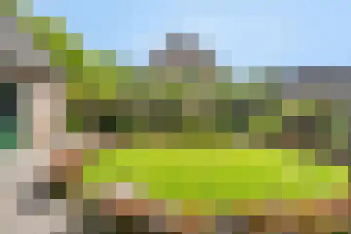 Klompenmaker 32 Oost West en Middelbeers thumbnail 48