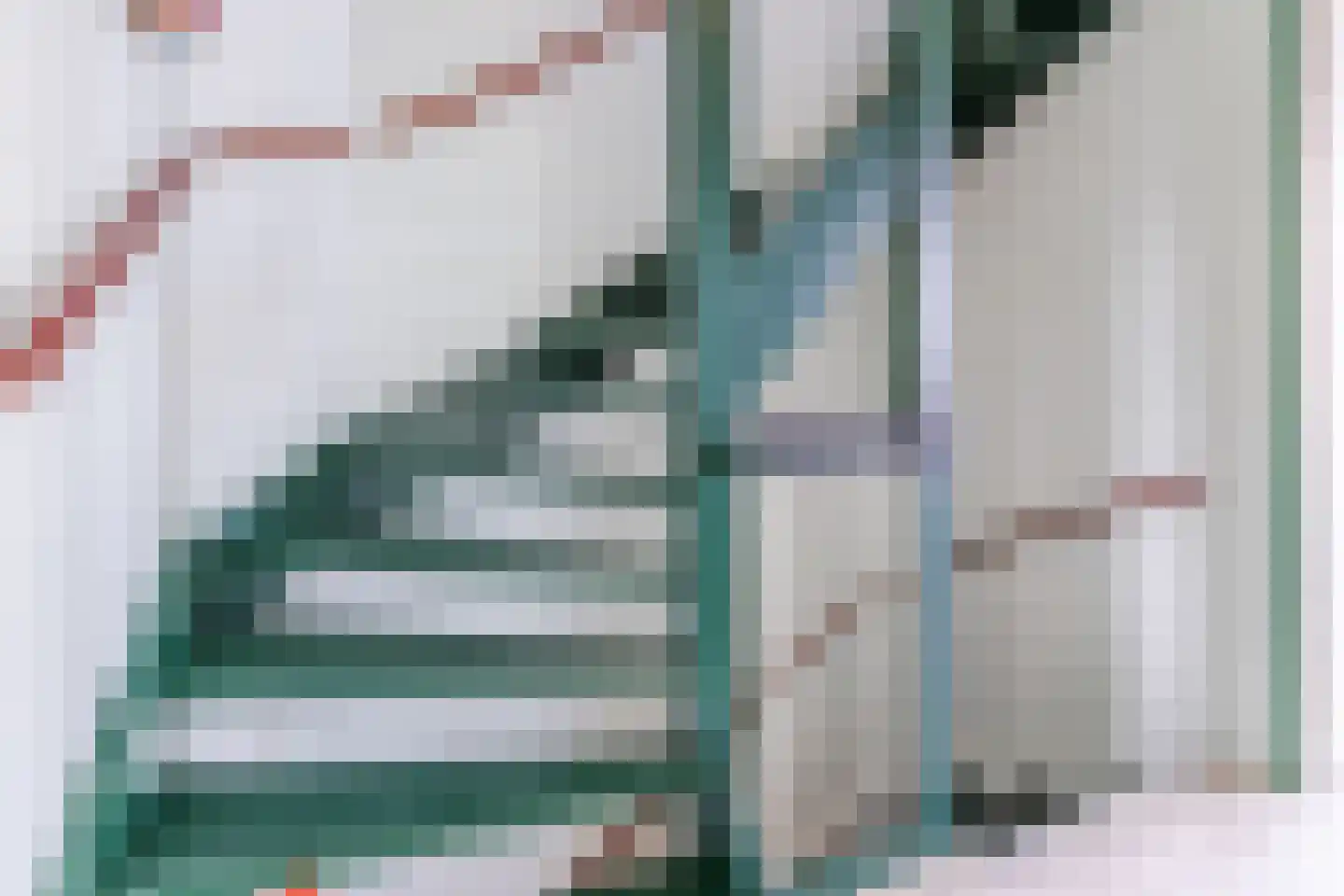 Klompenmaker 4 Wilnis thumbnail 18