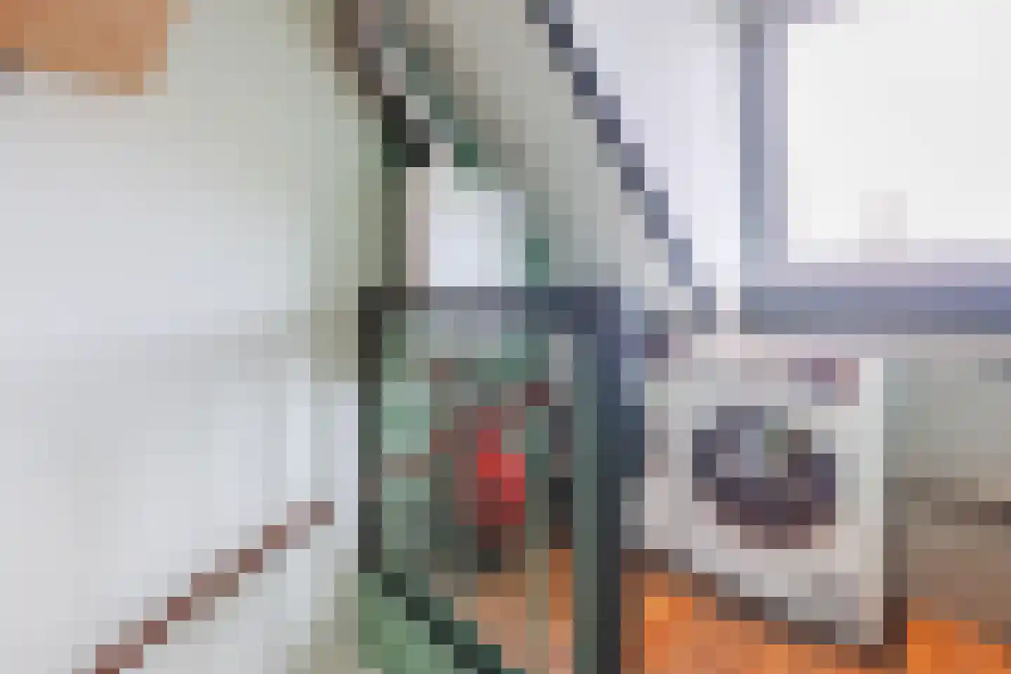 Klompenmaker 4 Wilnis thumbnail 22