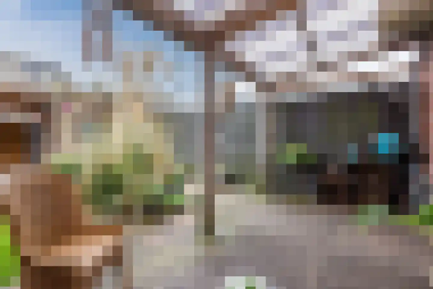Klompenmaker 4 Wilnis thumbnail 25