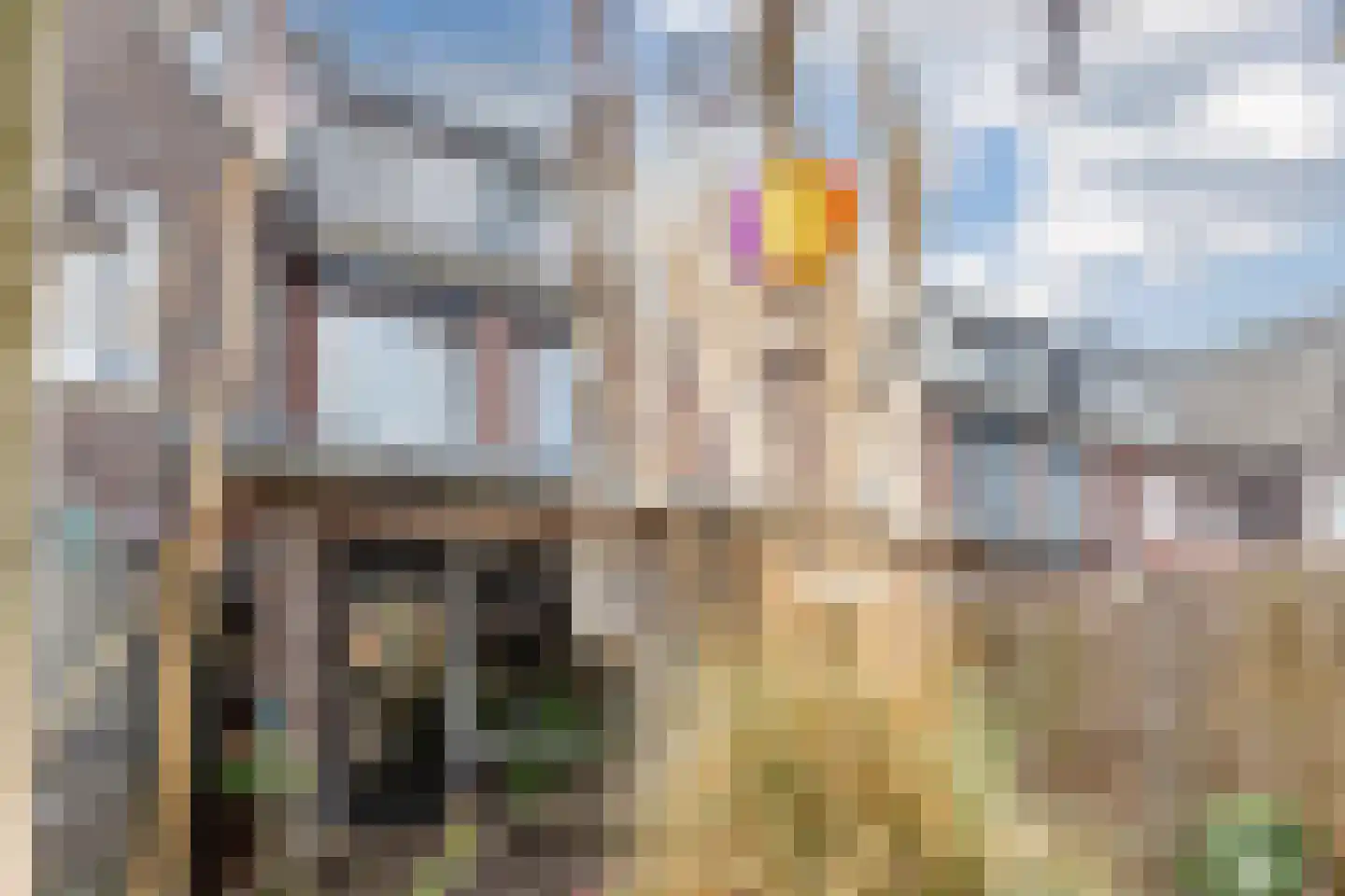 Klompenmaker 4 Wilnis thumbnail 28