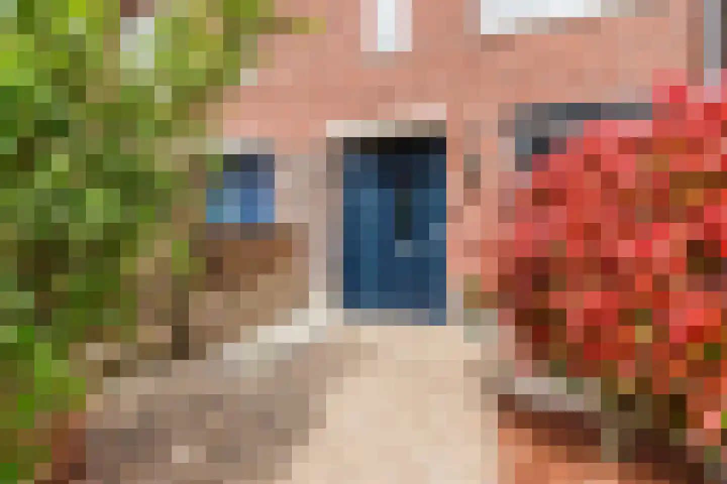 Klompenmaker 4 Wilnis thumbnail 30