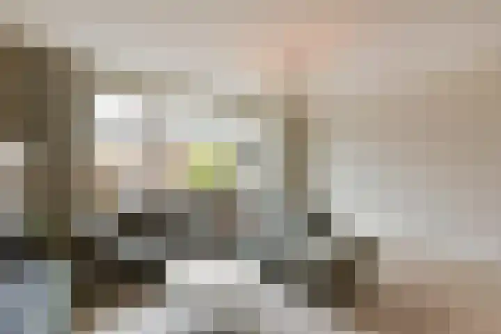 Klompenmaker 57 Wilnis thumbnail 10