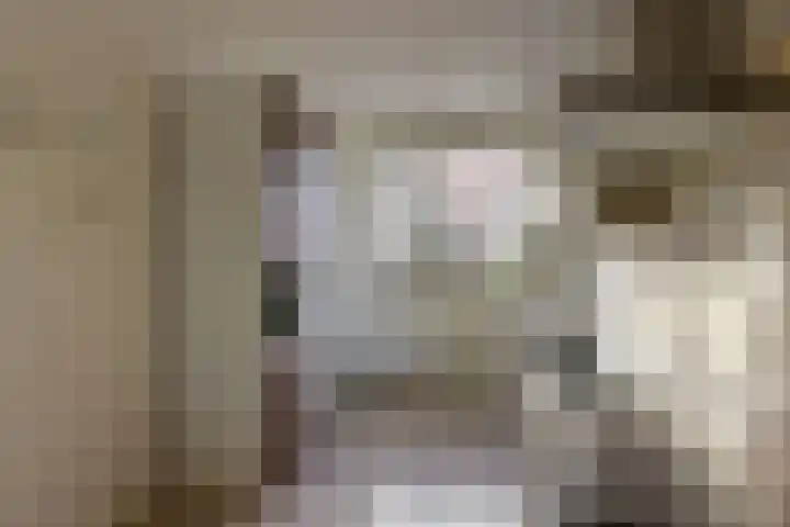 Klompenmaker 57 Wilnis thumbnail 14