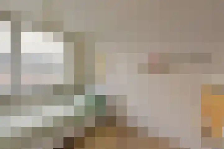 Klompenmaker 57 Wilnis thumbnail 16