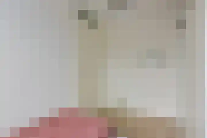 Klompenmaker 57 Wilnis thumbnail 18