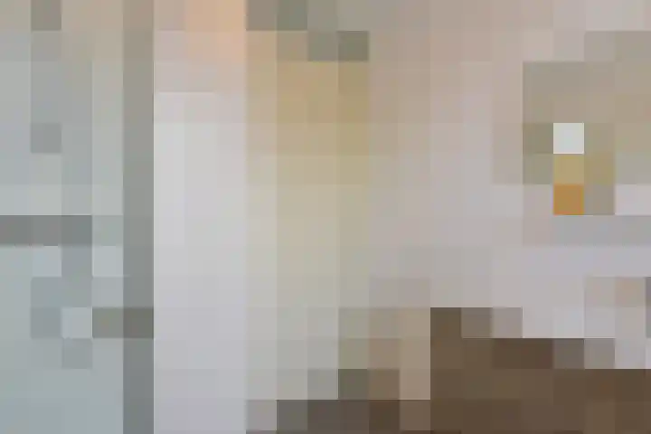 Klompenmaker 57 Wilnis thumbnail 21