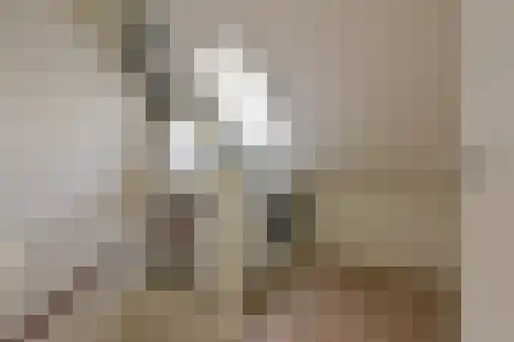 Klompenmaker 57 Wilnis thumbnail 23