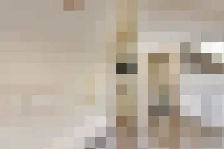 Klompenmaker 57 Wilnis thumbnail 25
