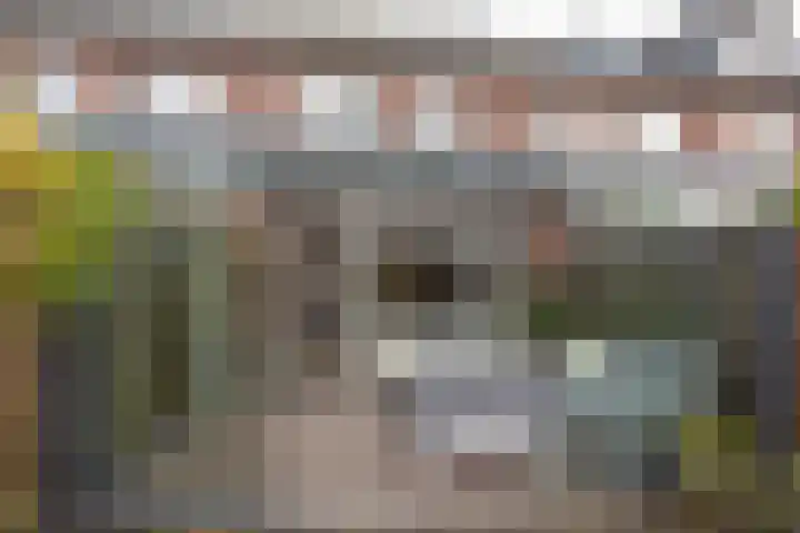 Klompenmaker 57 Wilnis thumbnail 26
