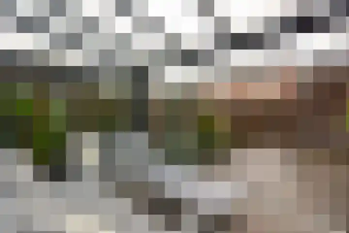 Klompenmaker 57 Wilnis thumbnail 27
