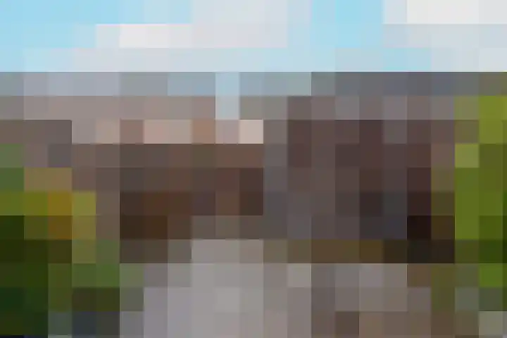 Klompenmaker 57 Wilnis thumbnail 29