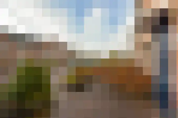 Klompenmaker 57 Wilnis thumbnail 31