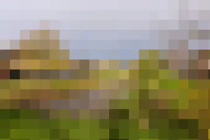 Klompenmaker 57 Wilnis thumbnail 32