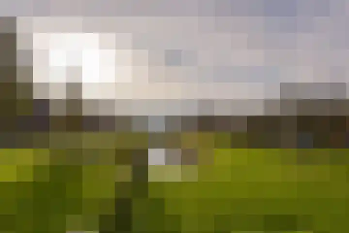Klompenmaker 57 Wilnis thumbnail 33