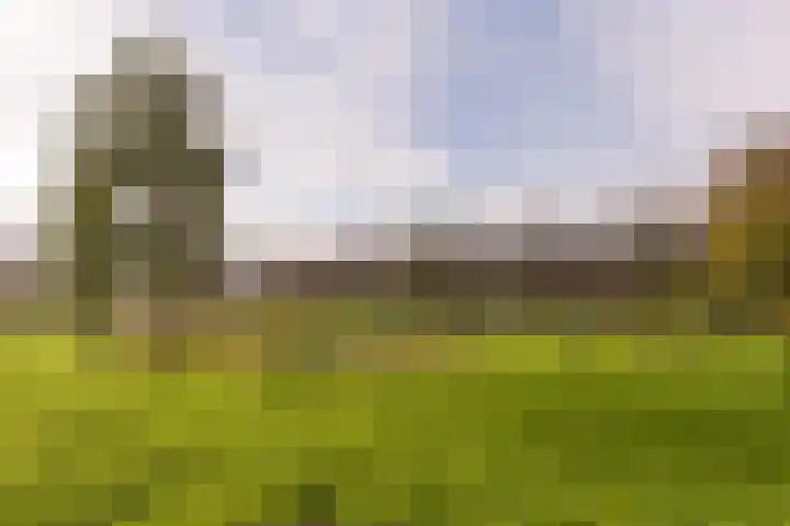 Klompenmaker 57 Wilnis thumbnail 34