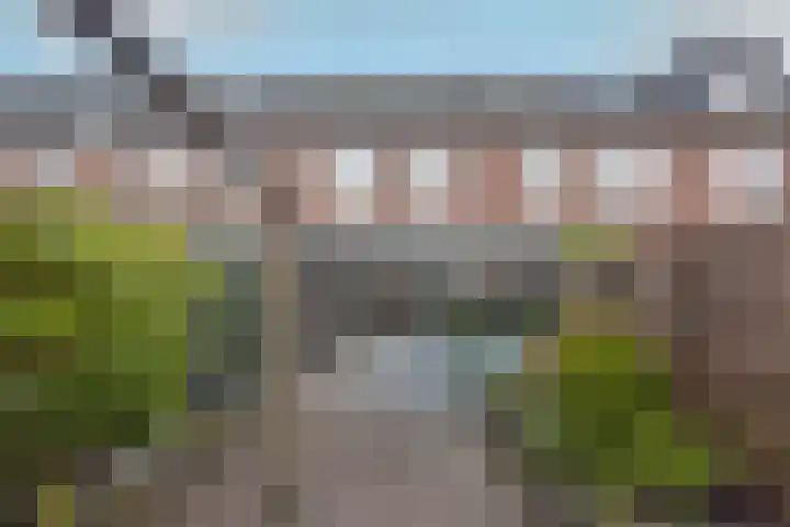 Klompenmaker 57 Wilnis thumbnail 4