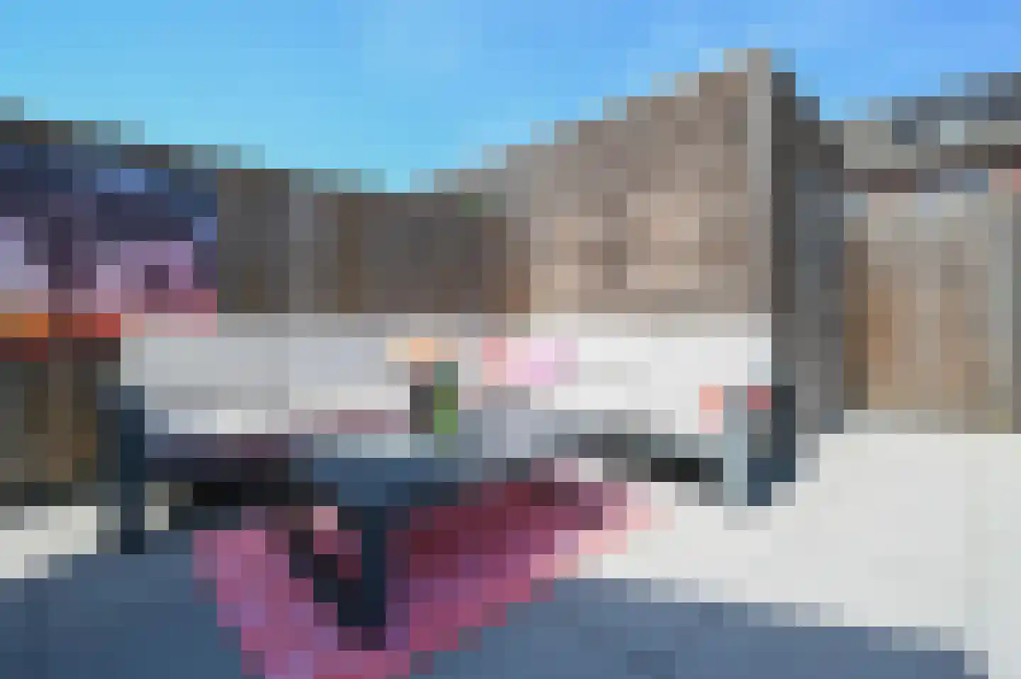 Klompenmaker 67 Wilnis thumbnail 16