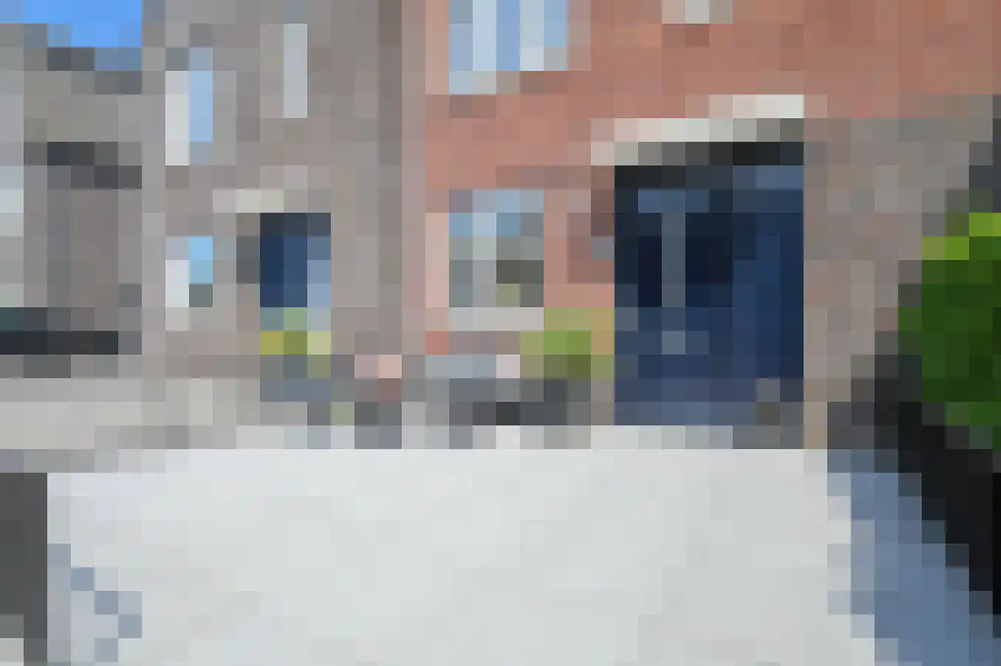 Klompenmaker 67 Wilnis thumbnail 4