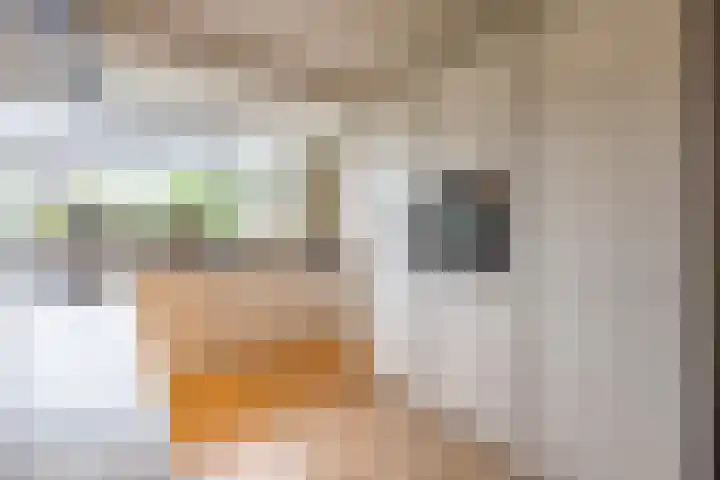 Klompenmaker 68 Oldenzaal thumbnail 16