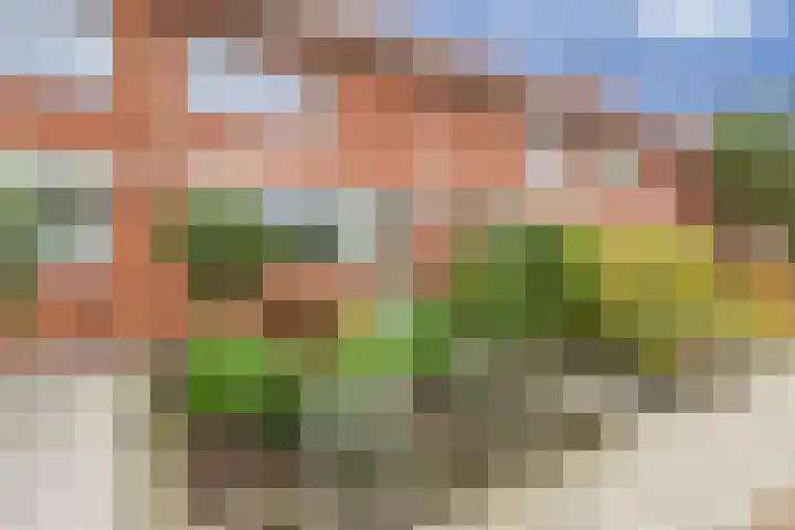 Klompenmaker 68 Oldenzaal thumbnail 5