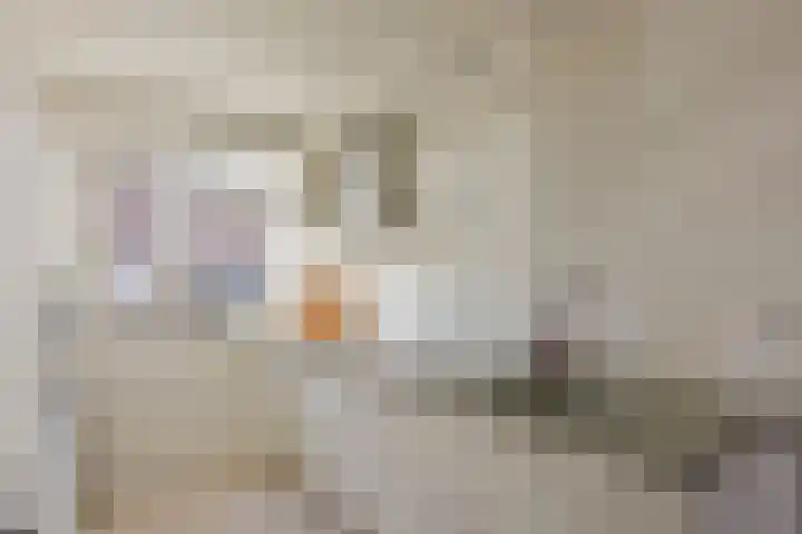 Klompenmaker 69 Wilnis thumbnail 10