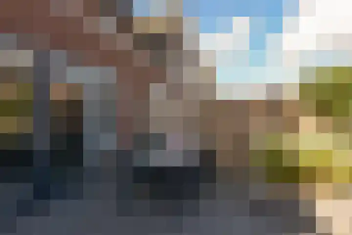 Klompenmaker 69 Wilnis thumbnail 16