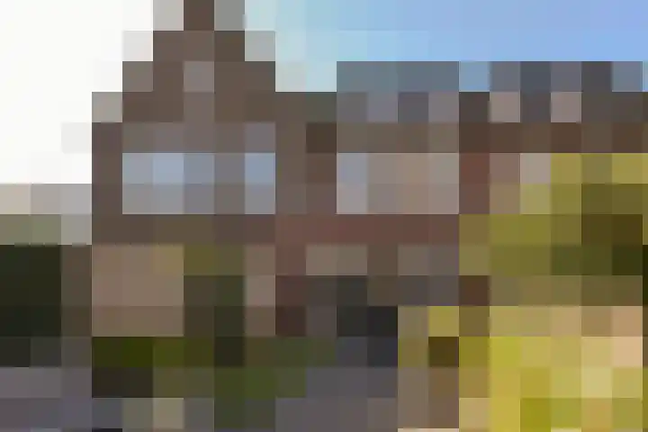 Klompenmaker 69 Wilnis thumbnail 18