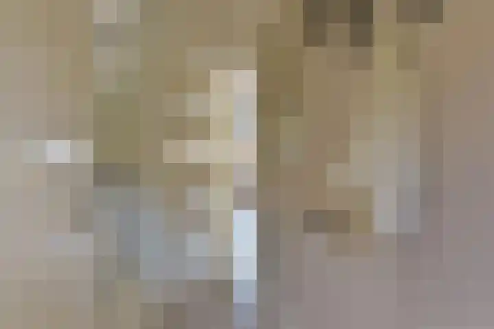 Klompenmaker 69 Wilnis thumbnail 19