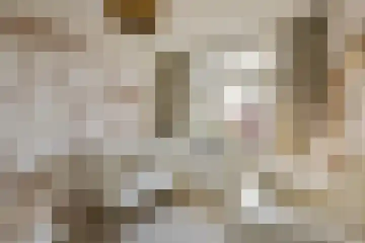 Klompenmaker 69 Wilnis thumbnail 24