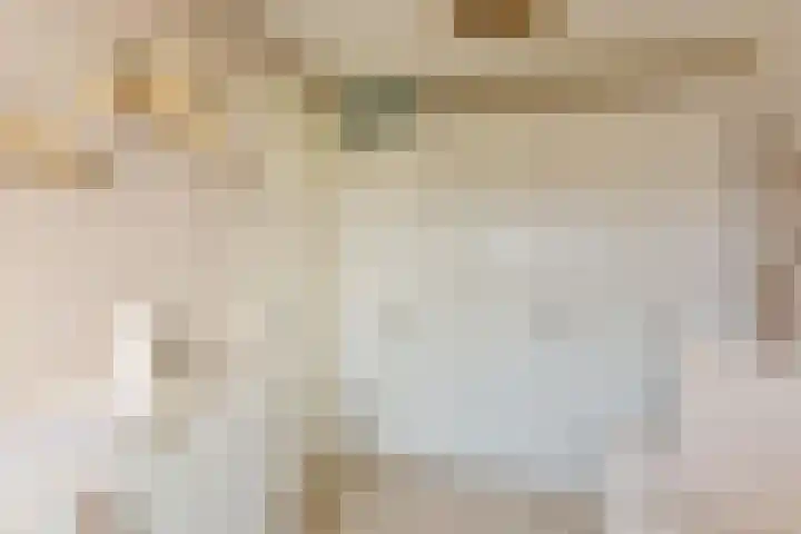 Klompenmaker 69 Wilnis thumbnail 25