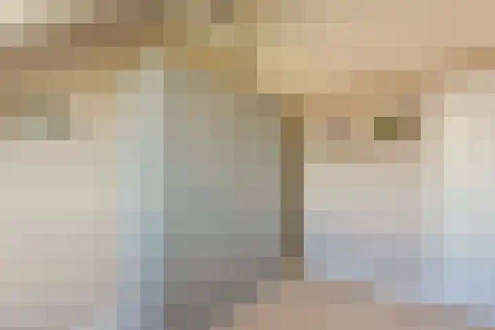 Klompenmaker 69 Wilnis thumbnail 31