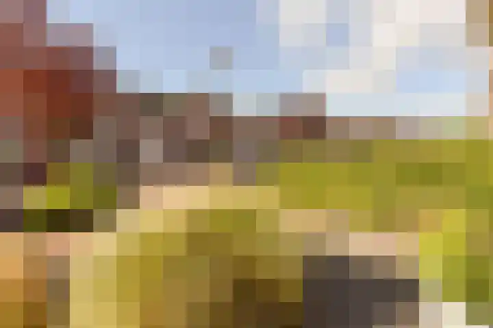 Klompenmaker 69 Wilnis thumbnail 35