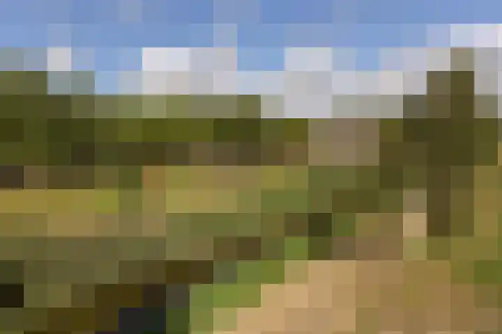 Klompenmaker 69 Wilnis thumbnail 36