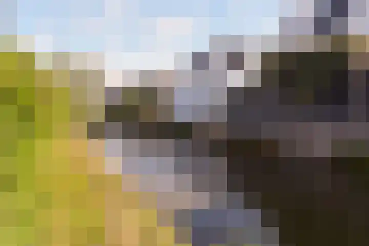 Klompenmaker 69 Wilnis thumbnail 37