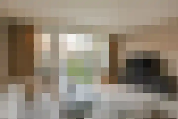 Klompenmaker 69 Wilnis thumbnail 6