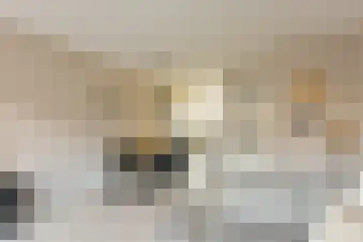 Klompenmaker 69 Wilnis thumbnail 8
