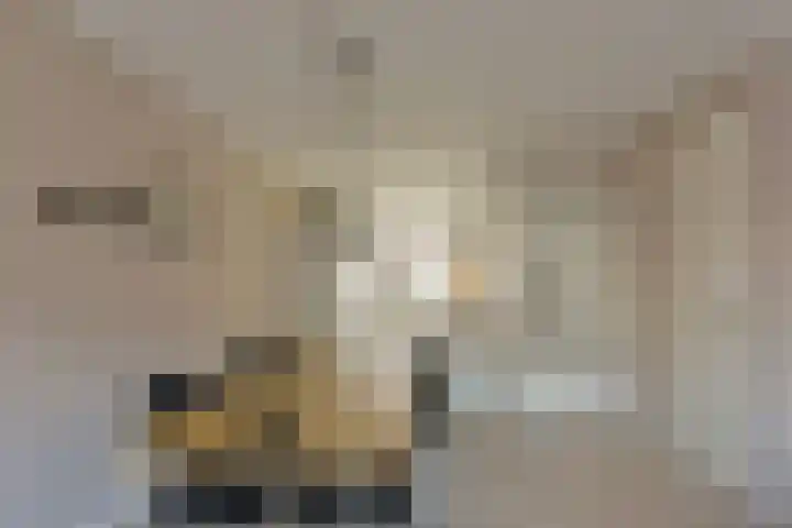 Klompenmaker 69 Wilnis thumbnail 9