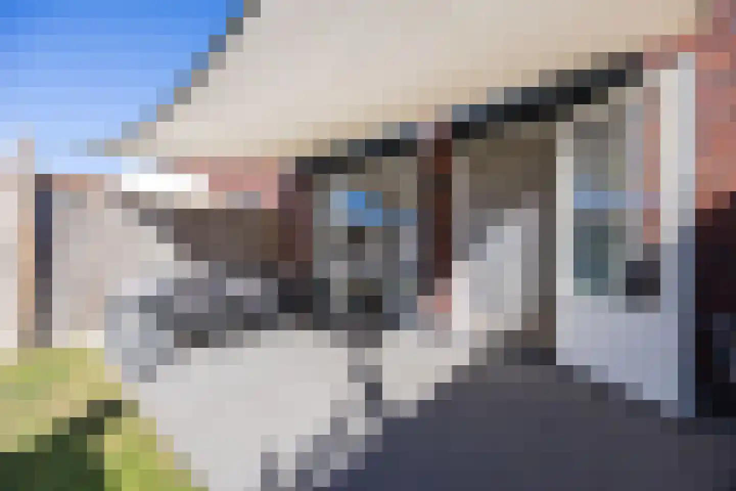 Klompenmaker 7 Hilvarenbeek thumbnail 27