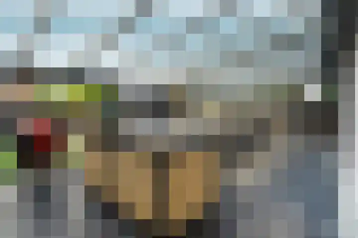 Klompenmaker 96 Oldenzaal thumbnail 27
