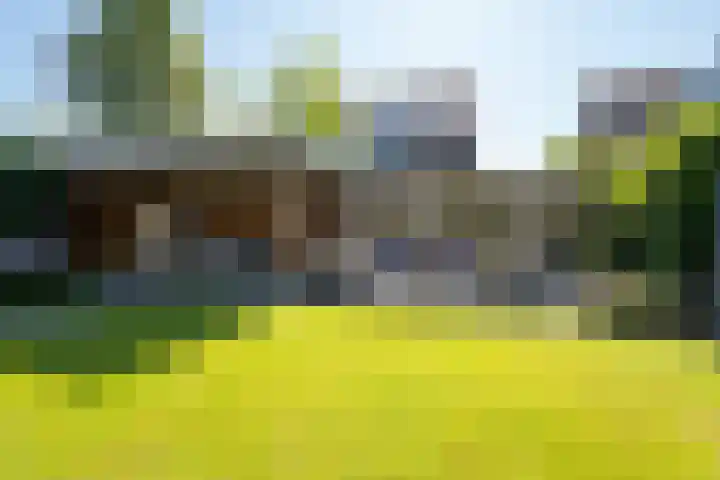 Klompenmaker 96 Oldenzaal thumbnail 39