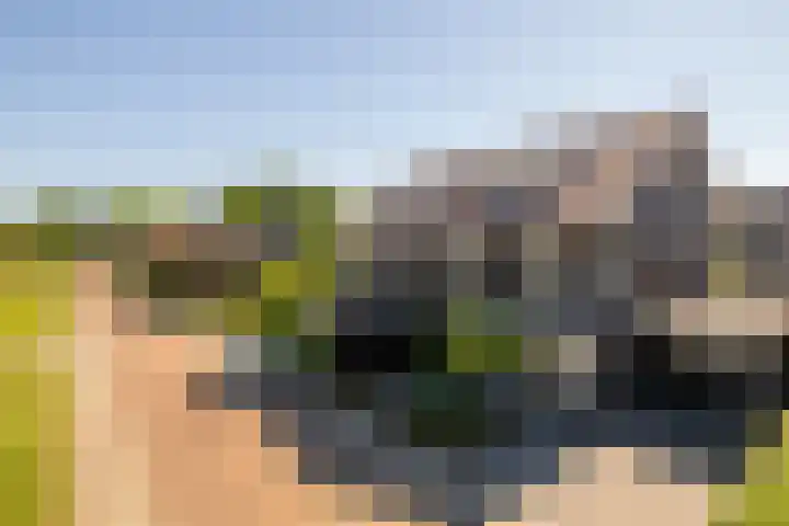 Klompenmaker 96 Oldenzaal thumbnail 43