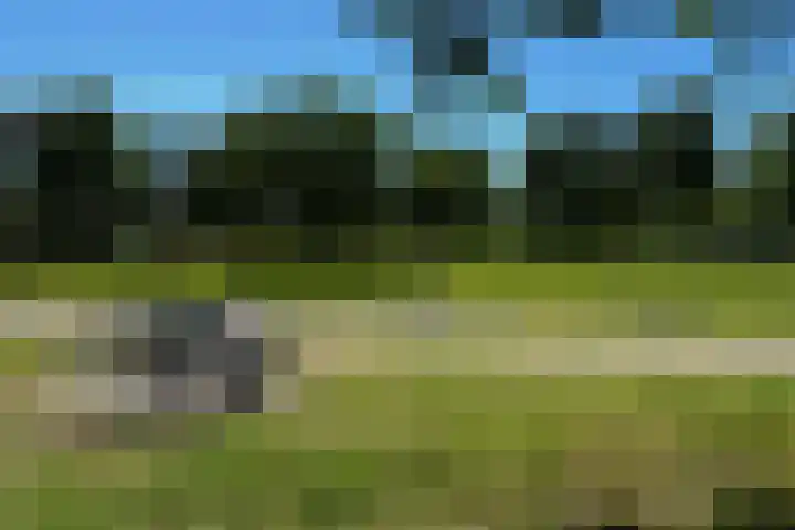 Klompenmaker 96 Oldenzaal thumbnail 51